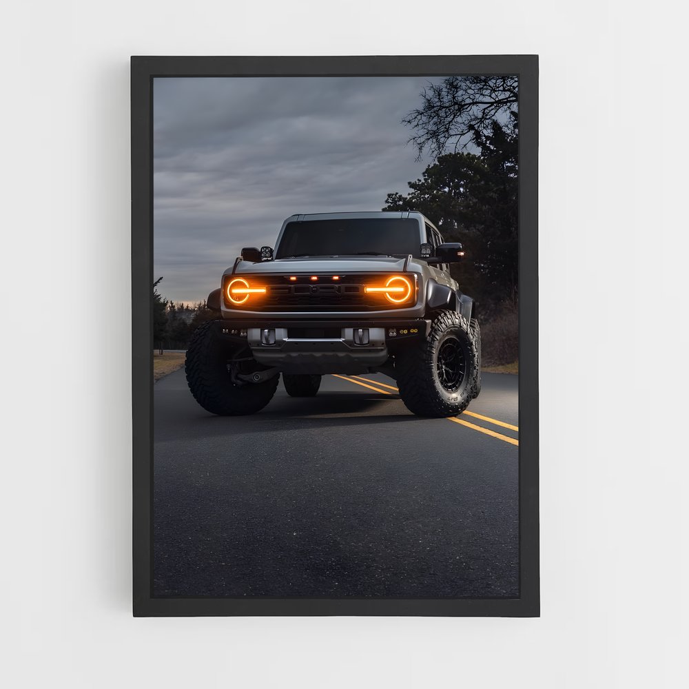 Poster Raptor Noir – affiche Ford (vue 2)